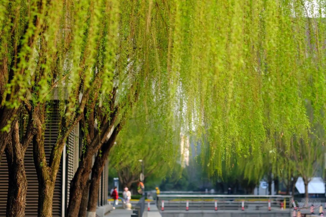 英美三名学者获2024年“日本国际奖”